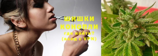 шишки Каменка