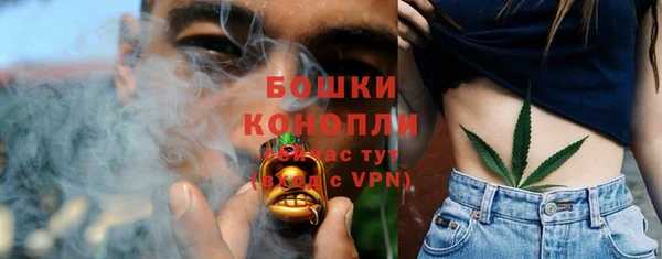 эйфоретик Каменногорск