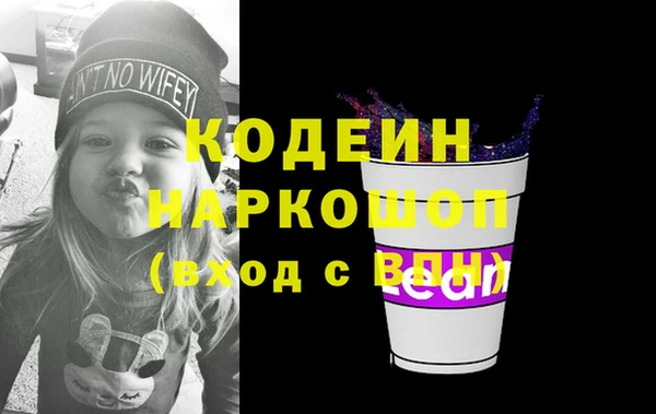 шишки Каменка