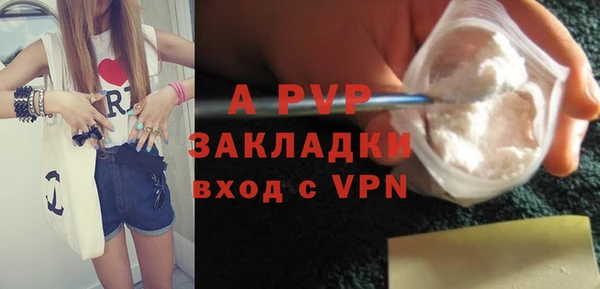 шишки Каменка