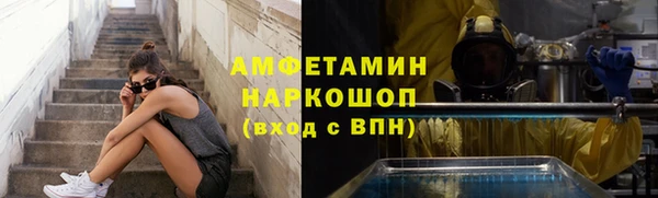 шишки Каменка