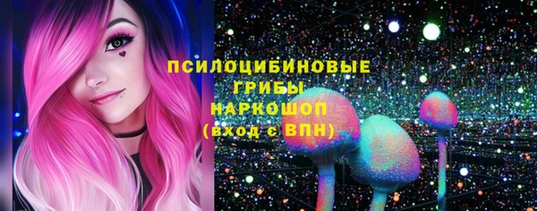 шишки Каменка