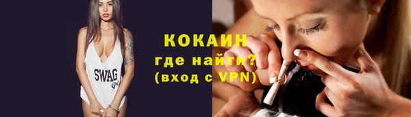 шишки Каменка