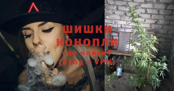 эйфоретик Каменногорск