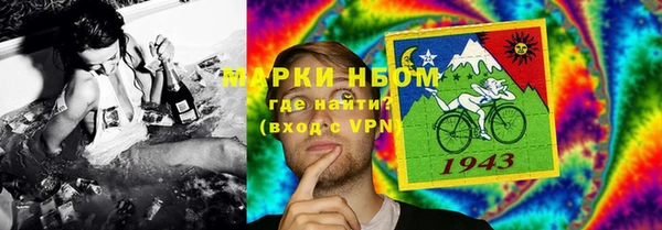 шишки Каменка