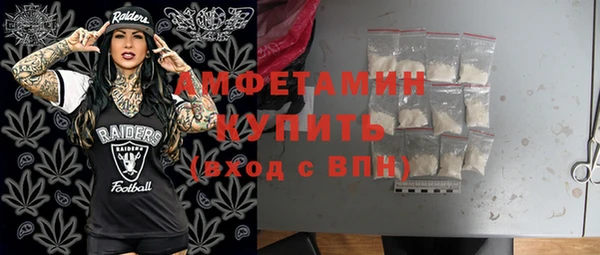 шишки Каменка