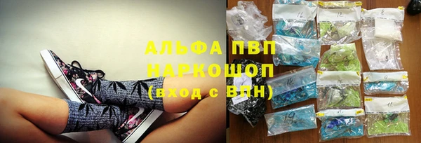 шишки Каменка
