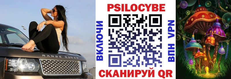 Галлюциногенные грибы мухоморы  магазин продажи наркотиков  Шилка 